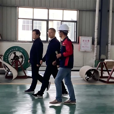 City And County Leaders Visit And Guide Longze Factory